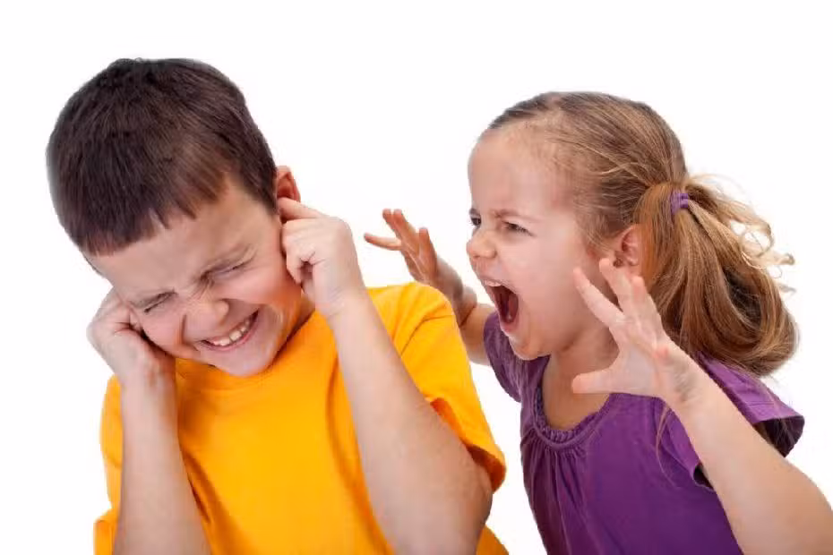 La Agresividad Infantil